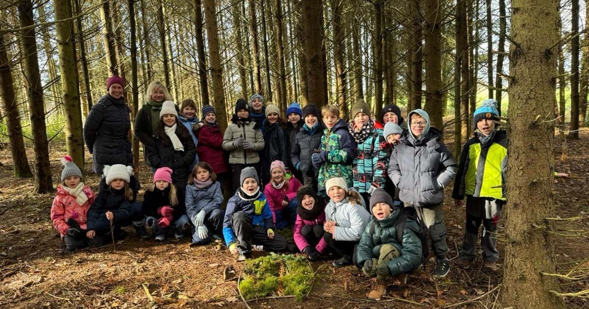 : ' org Images High Quality Grahic Waldtag 3a | Grund- und Mittelschule Bergkirchen